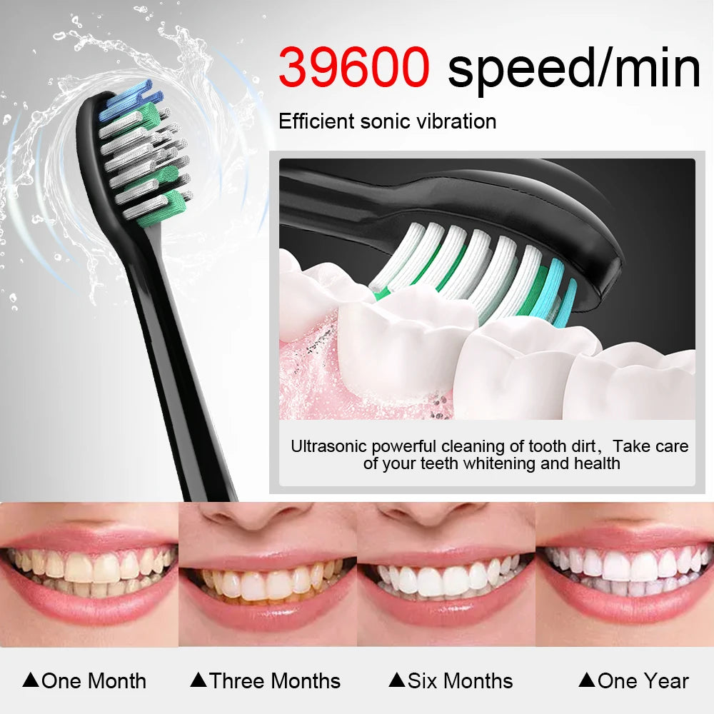 Sccaca208c3e04ebfa795869bb0a9b86cu
